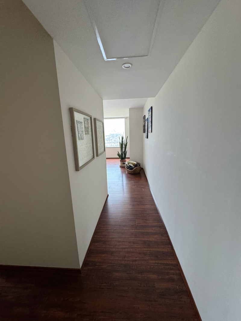 departamento en renta en bosque real