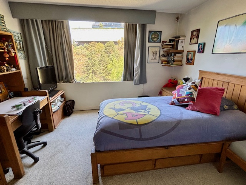 Departamento En Venta En Lomas Anáhuac