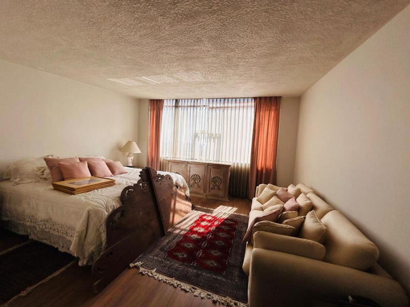 departamento en venta en del valle centro