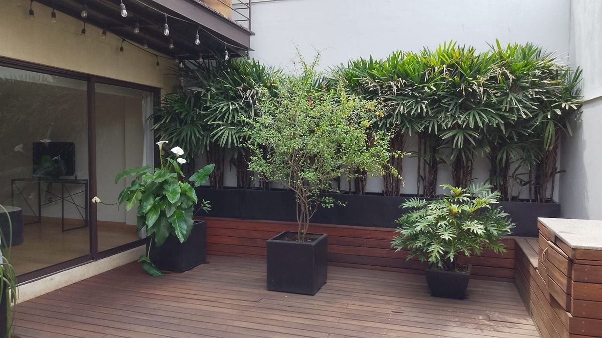 excelente departamento en renta a media cuadra de masaryk