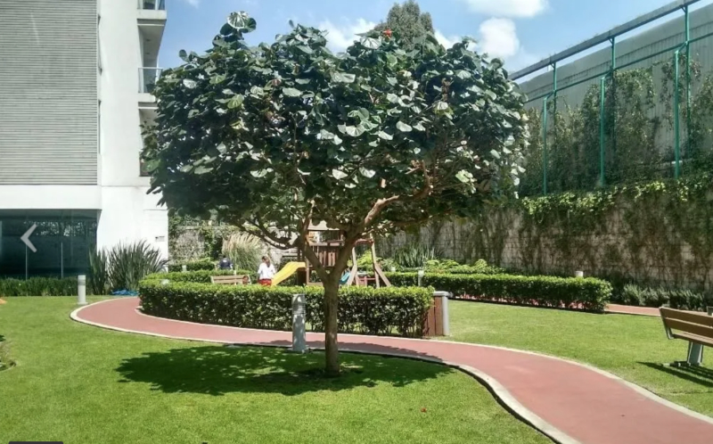 Departamento PH En Renta, Polanco, Ampliacion Granada