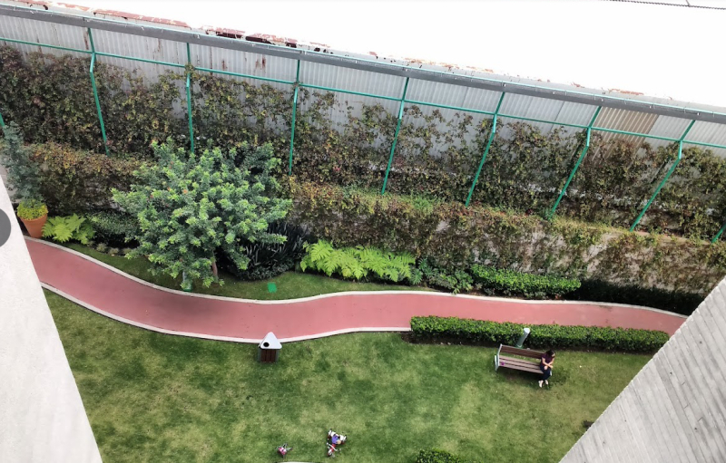 Departamento PH En Renta, Polanco, Ampliacion Granada