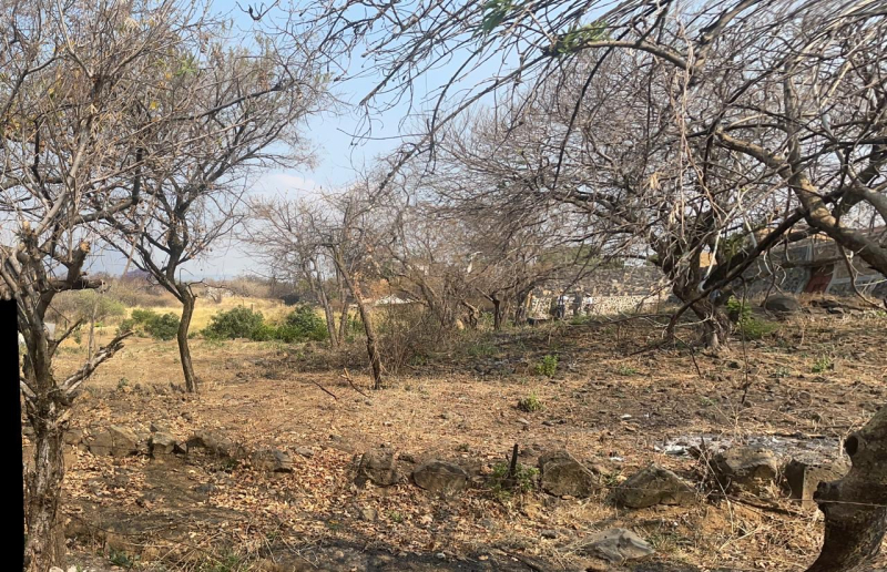 Terreno En Venta En Tlayacapan 