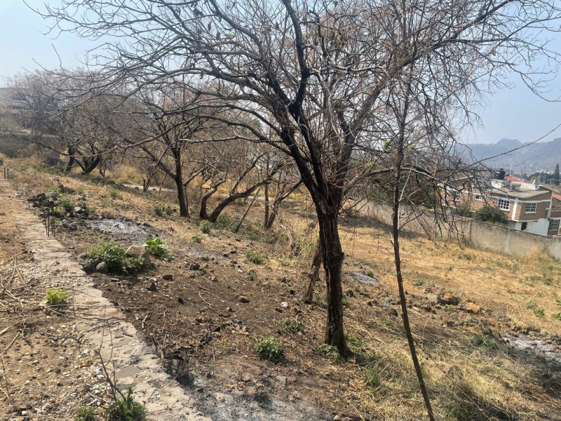 Terreno En Venta En Tlayacapan 