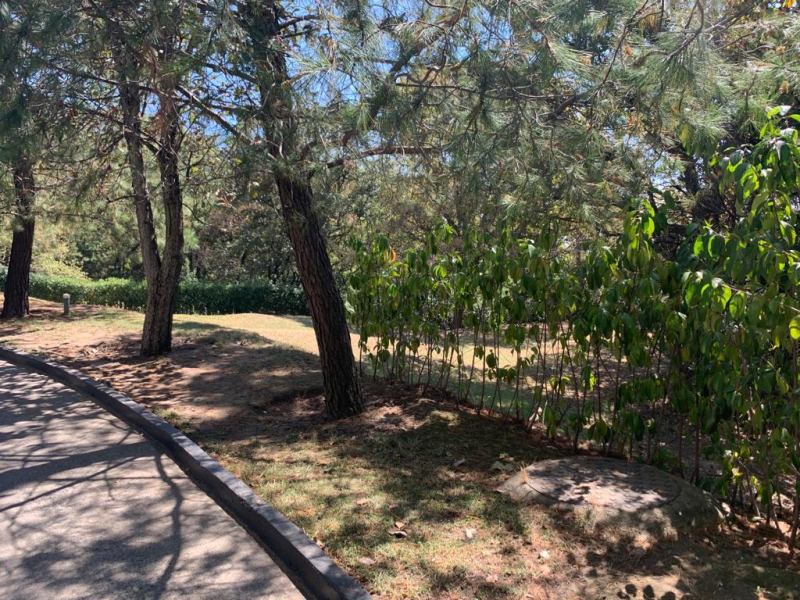 Terreno En Venta En CUMBRES DE SANTA FE