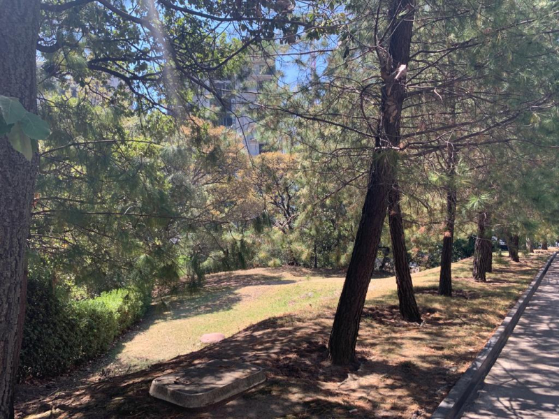 Terreno En Venta En CUMBRES DE SANTA FE