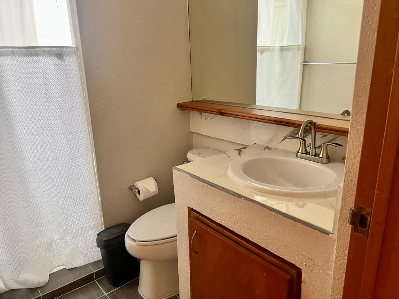 Departamento En Renta En Las Ánimas