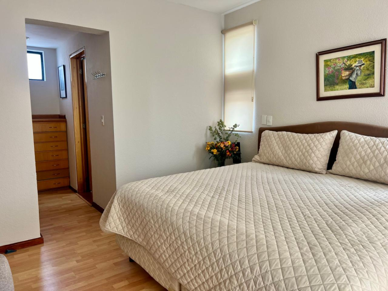 Departamento En Renta En Las Ánimas