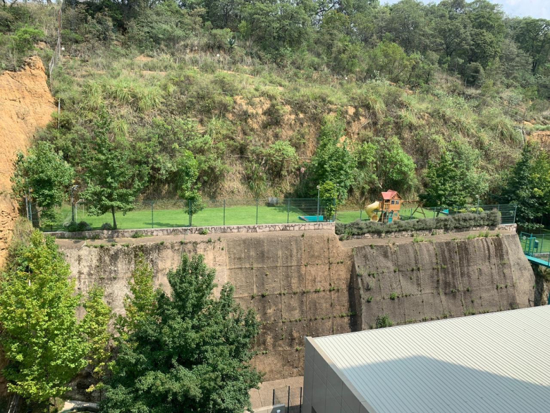 Departamento En Venta Y Renta En Bosque Real