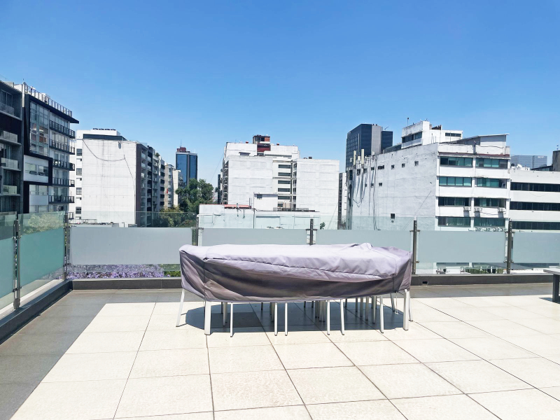renta de departamento en polanco v sección