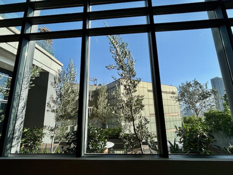 Departamento En Renta, Tabacalera, Cuauhtémoc