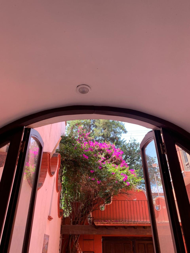 Casa En Venta En Chimalistac