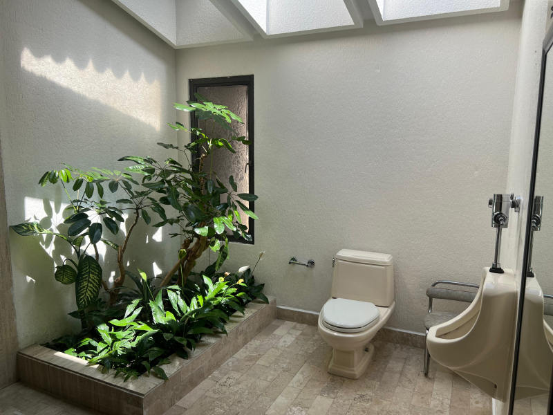 RENTA CASA PARA ACTUALIZAR, BOEQUE DE GRANADOS - BOSQUES DE LAS LOMAS 