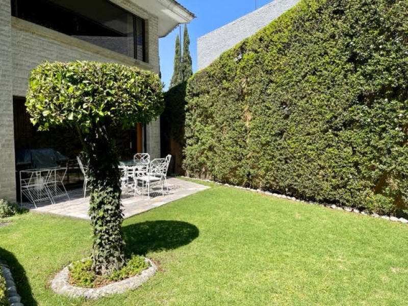 RENTA CASA PARA ACTUALIZAR, BOEQUE DE GRANADOS - BOSQUES DE LAS LOMAS 