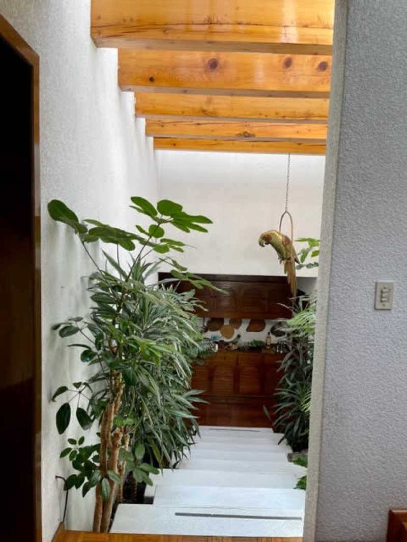 RENTA CASA PARA ACTUALIZAR, BOEQUE DE GRANADOS - BOSQUES DE LAS LOMAS 