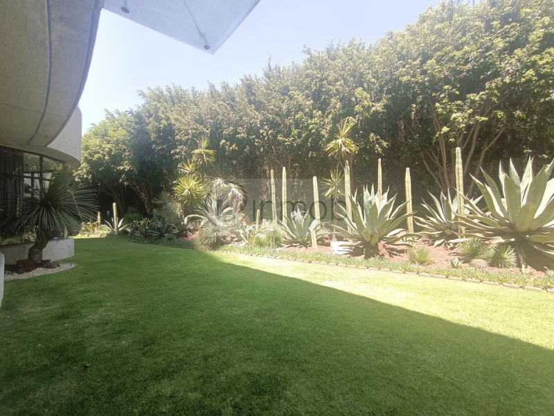 Renta Departamento, Loft City Blue Santa Fe.