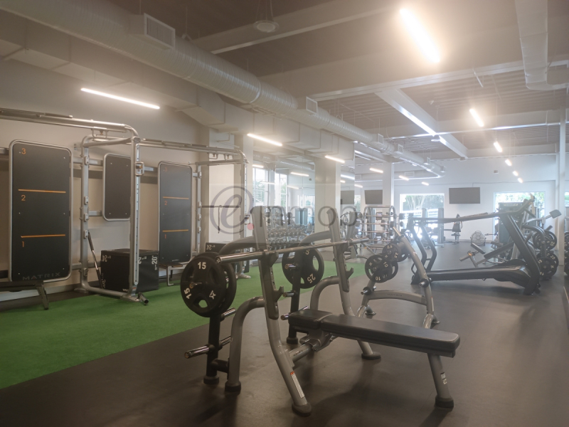 Renta Departamento, Loft City Blue Santa Fe.