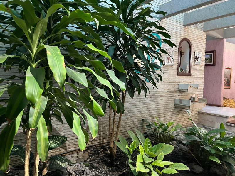 Casa En Venta En Colonia El Mirador
