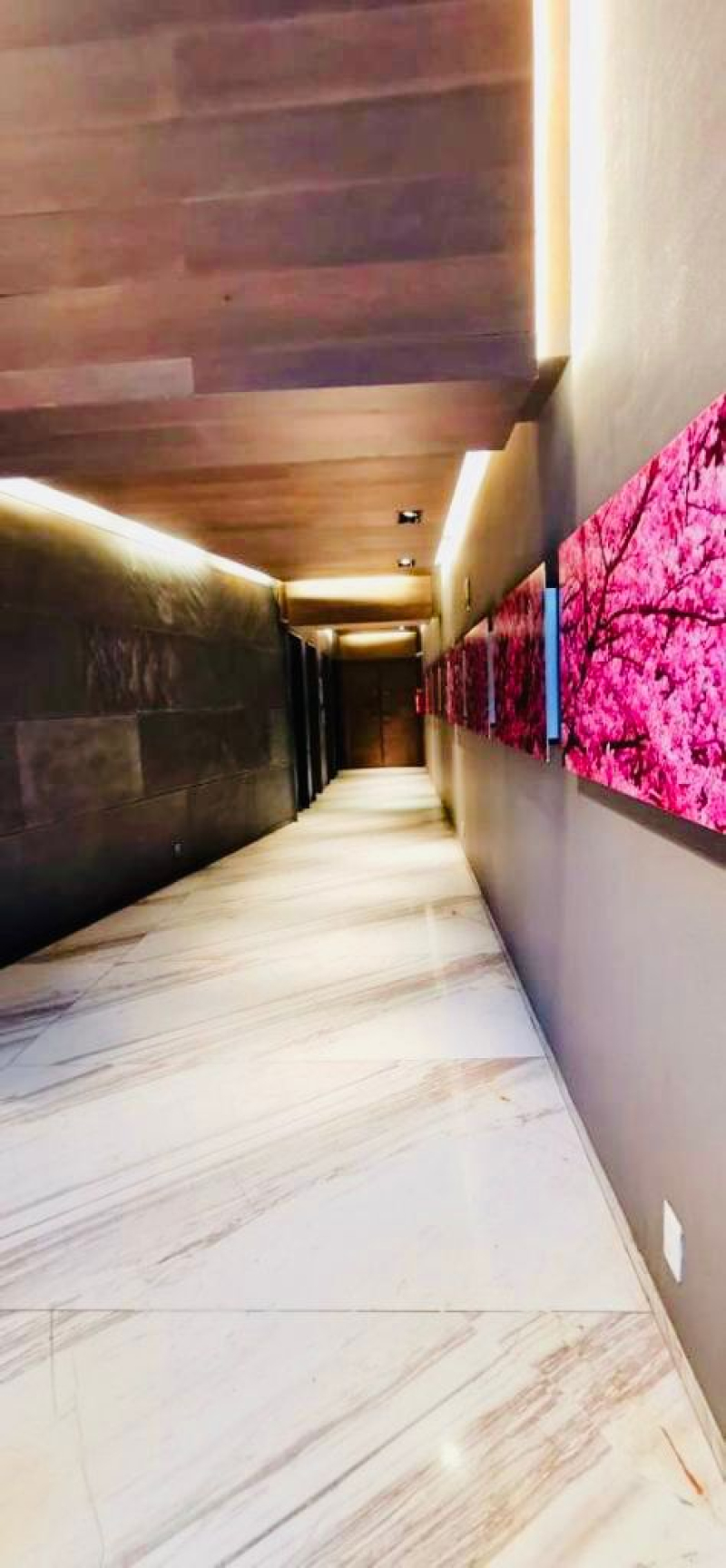 Departamento En Renta En Narvarte Poniente