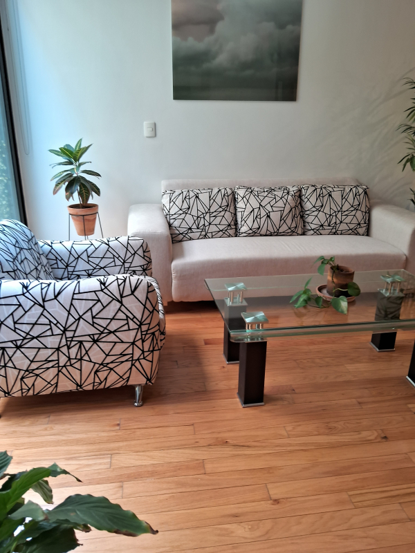 Departamento En Renta En Roma Norte