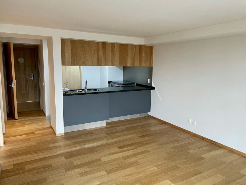 Departamento En Renta En Anáhuac I Sección