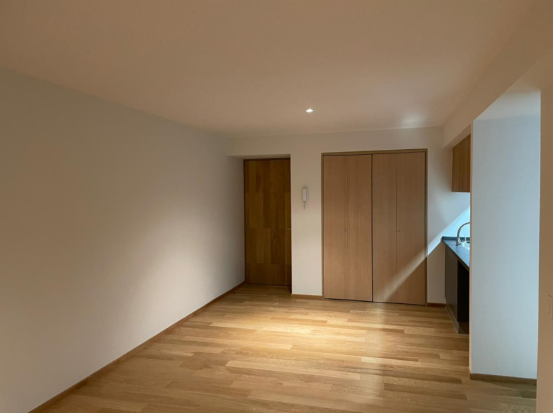 Departamento En Renta En Anáhuac I Sección