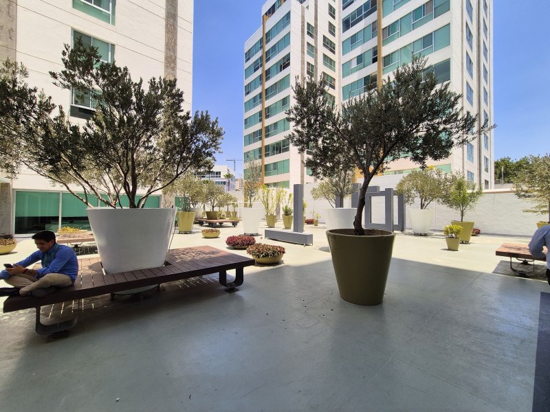 Se Renta Departamento Amueblado A 5 Cuadras De Midtown, Providencia