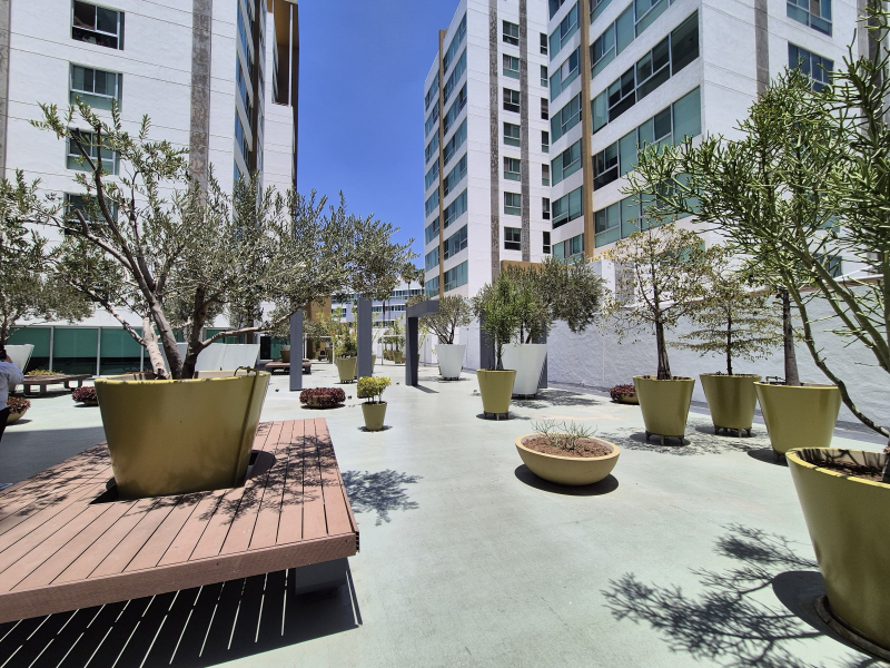 Se Renta Departamento Amueblado A 5 Cuadras De Midtown, Providencia