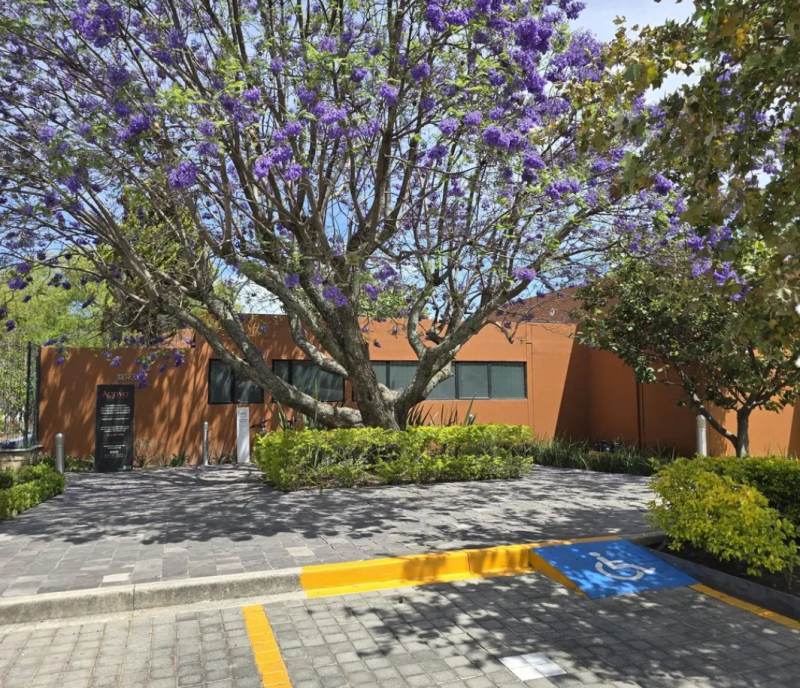 Terreno En Venta En Los Robles 
