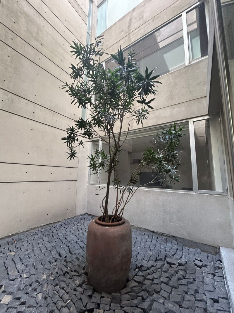 RENTA DEPARTAMENTO GARDEN CON TERRAZA - SUDERMAN - POLANCO