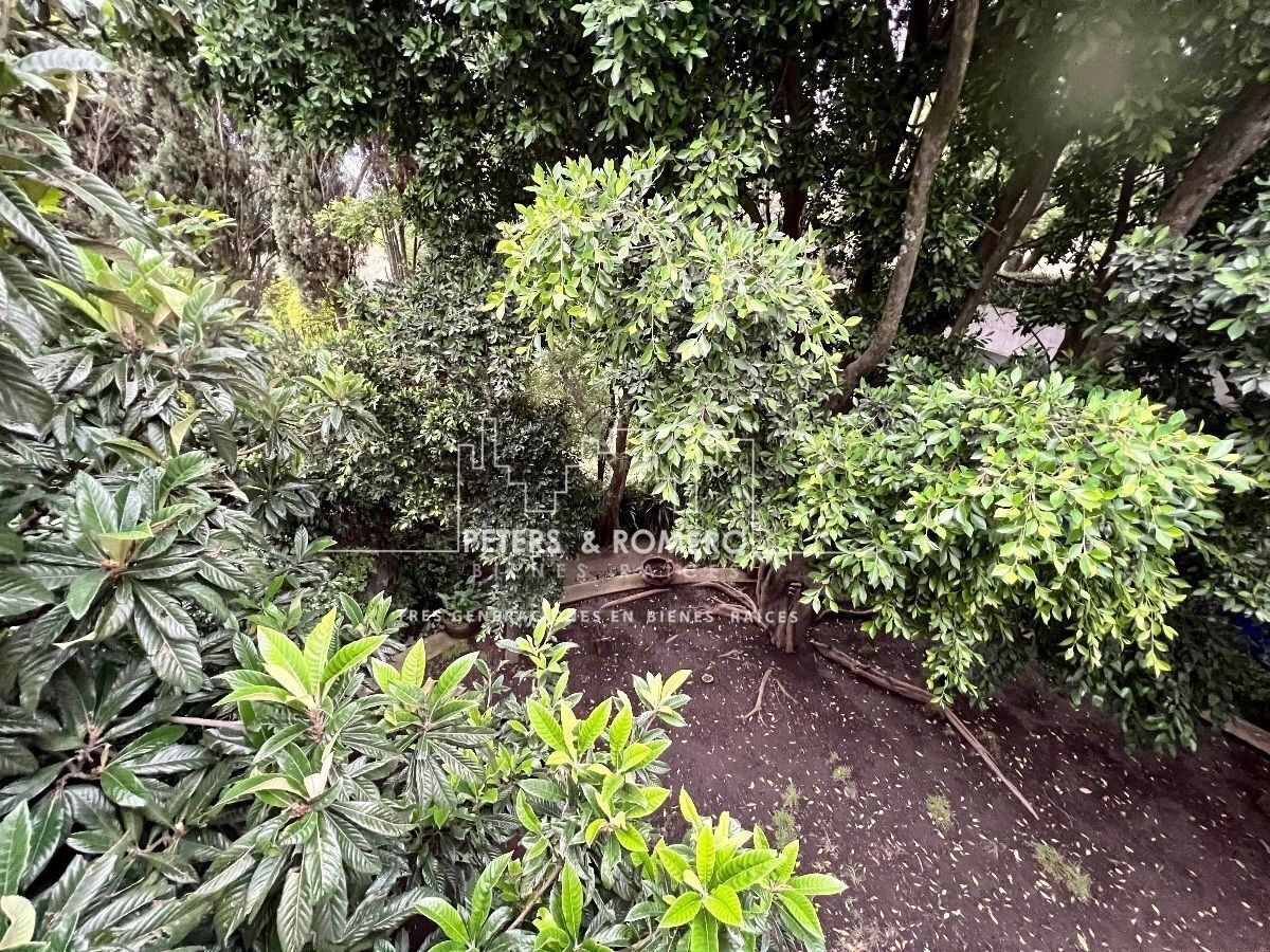 Terreno en Venta en Colonia Lomas Altas