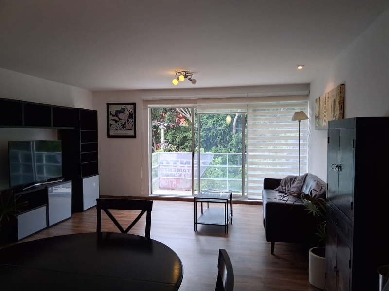 Departamento en Renta HipÃ³dromo Condesa con o sin muebles