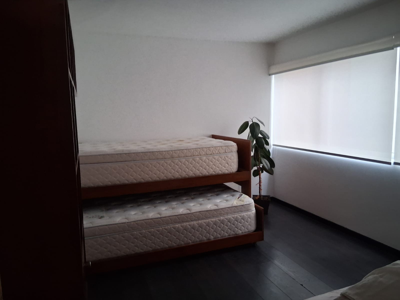 Departamento En Renta Hipódromo Condesa Con O Sin Muebles