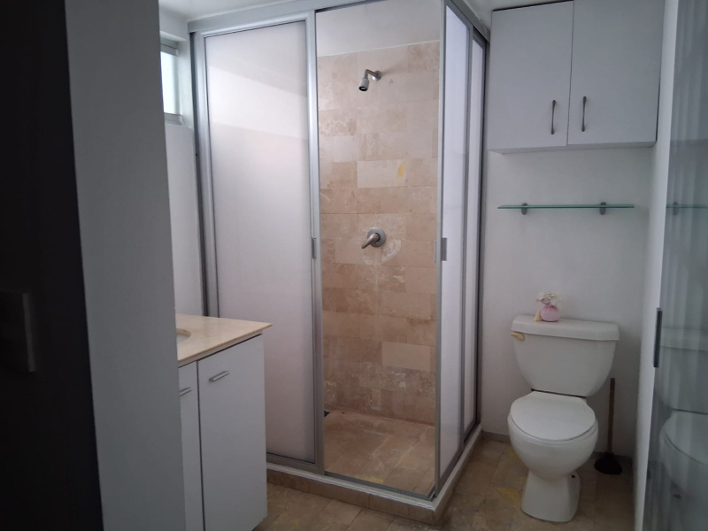 Departamento En Renta Hipódromo Condesa Con O Sin Muebles