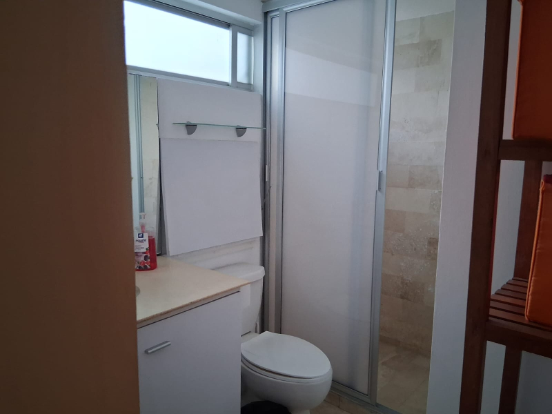 Departamento En Renta Hipódromo Condesa Con O Sin Muebles