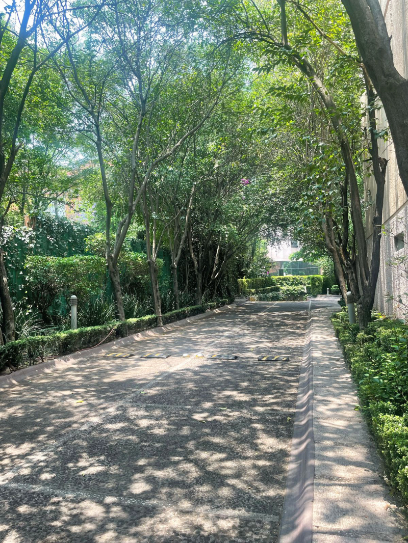 venta de departamento en las lomas