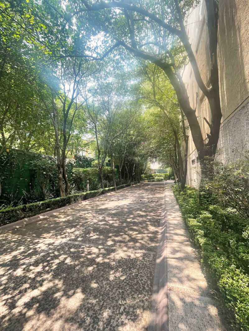 venta de departamento en las lomas