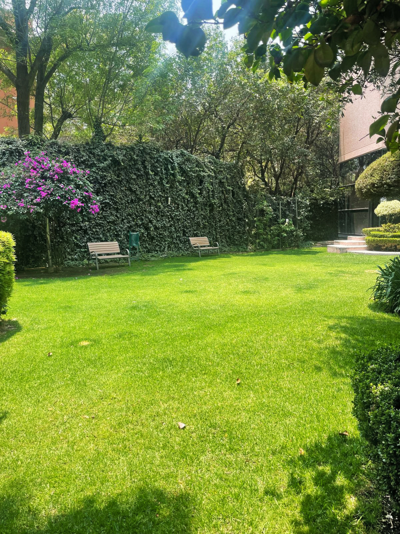 venta de departamento en las lomas