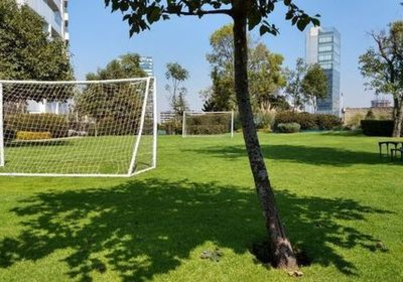 Departamento En Venta O Renta En Santa Fe Cuajimalpa