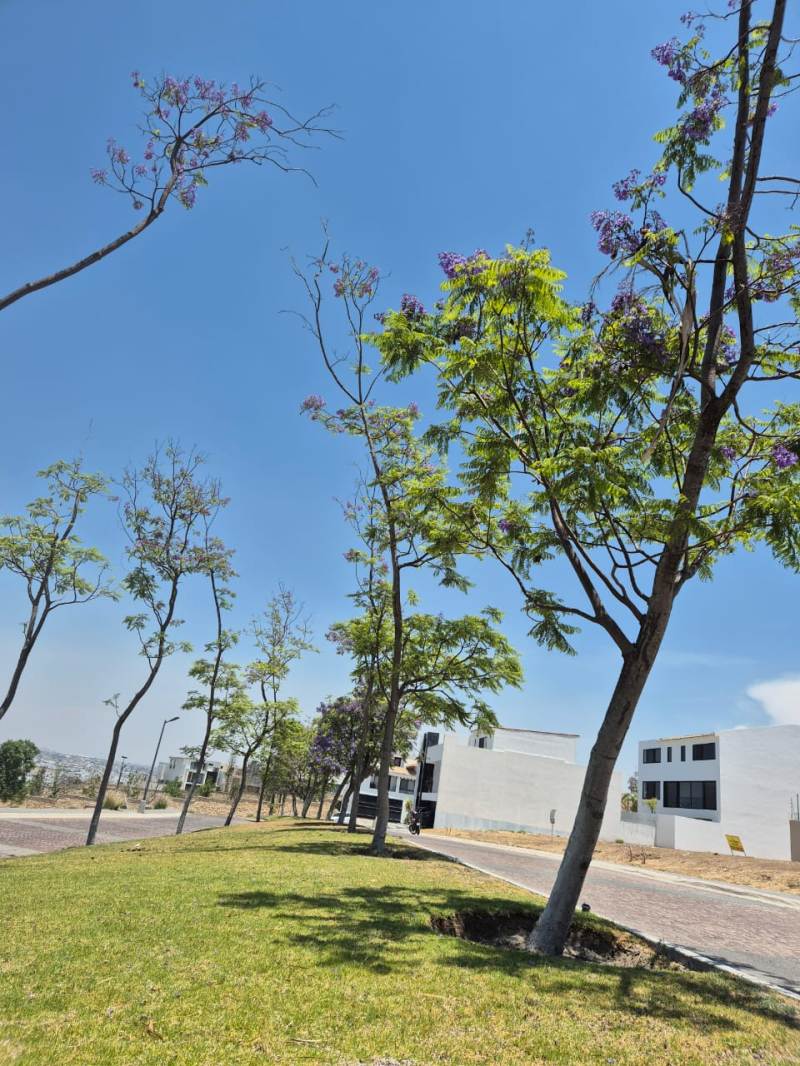 Casa En Venta En Lomas De Angelopolis