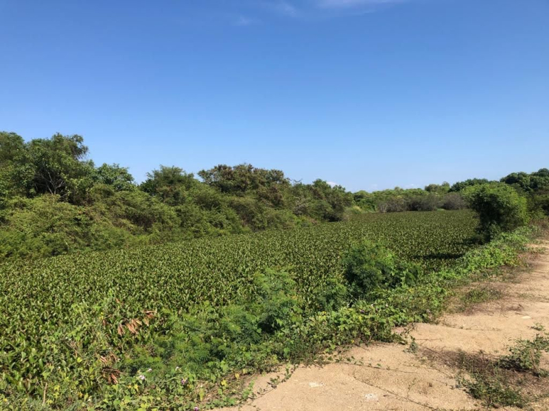 Terreno En Venta �?? Granjas Del Marqués, Acapulco De Juárez