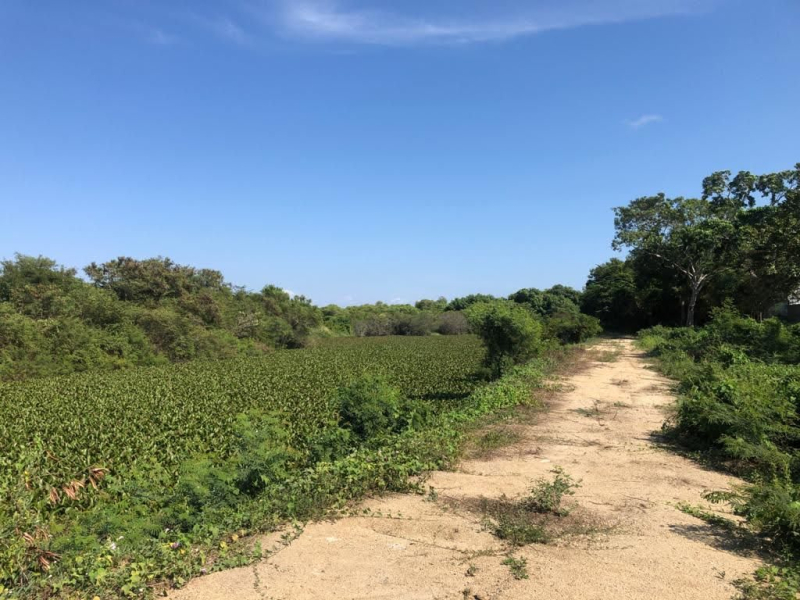 Terreno En Venta �?? Granjas Del Marqués, Acapulco De Juárez