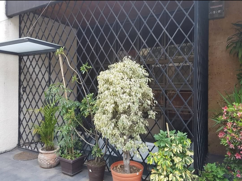 loft en renta en lomas de reforma
