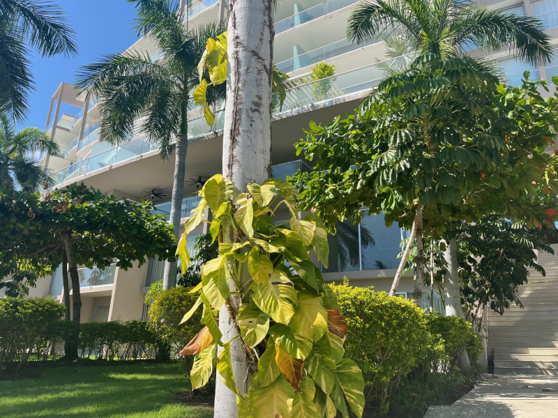 Departamento En Renta PUNTA MITA Frente Al Mar Nayarit