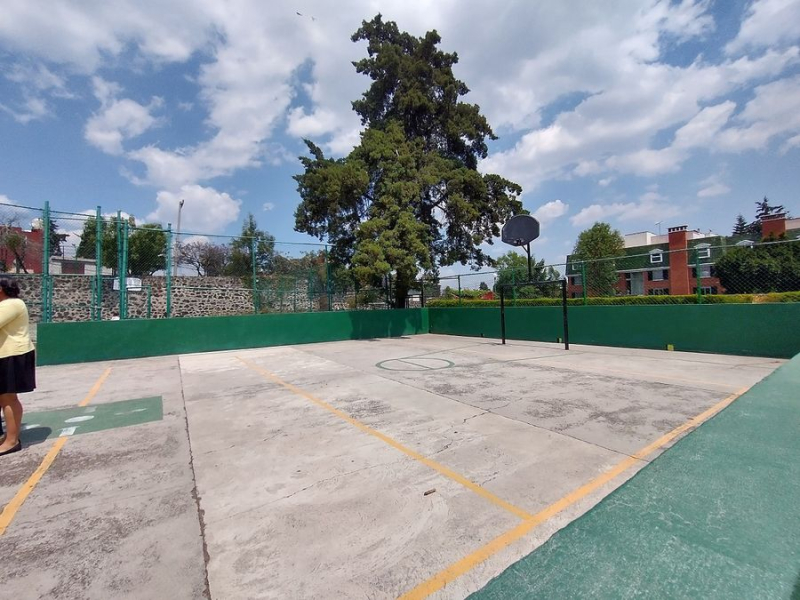 Venta  De Exclusivo Departamento En Pedregal 2, Florencia Piso 5