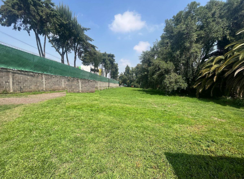   �??TERRENO EN VENTA EN AV DEL PASEO, COL�?N, ECHEGARAY�?�
