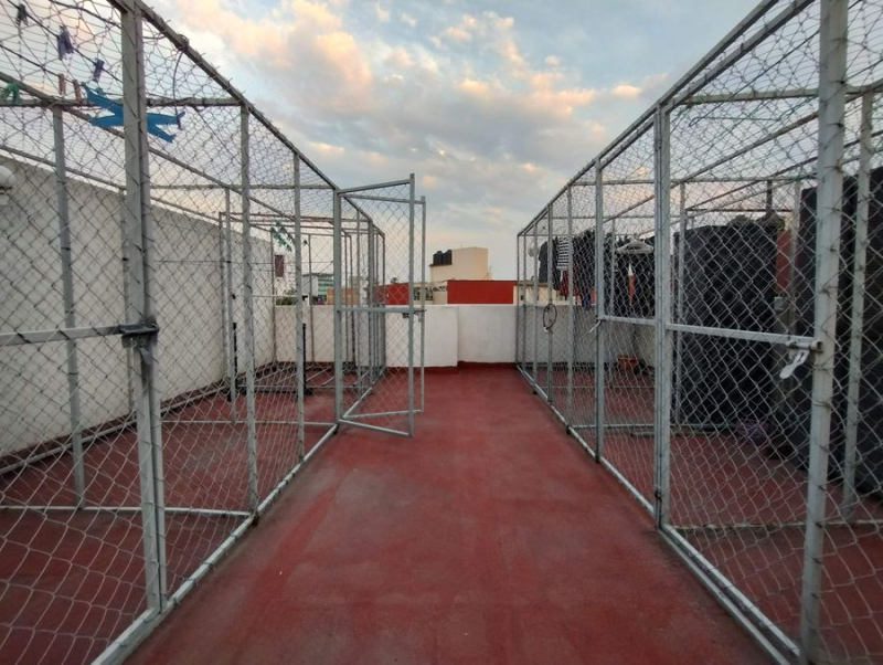 Venta Departamento En Colonia Alamos, 3 Recamaras