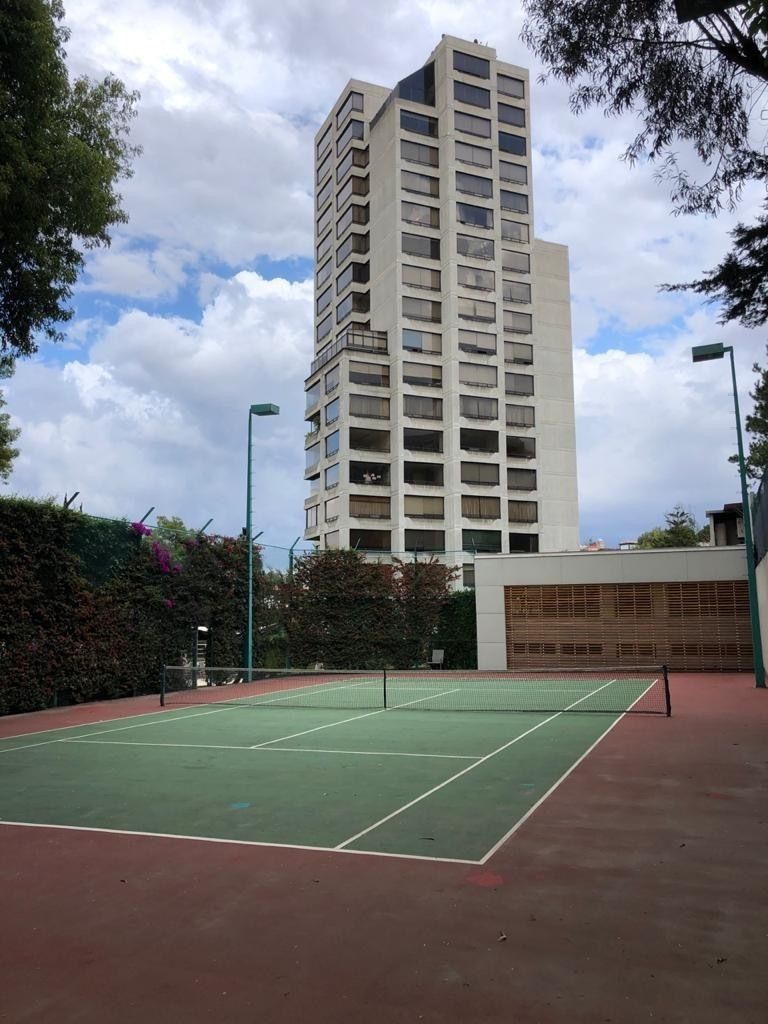 paseo de los ahuehuetes