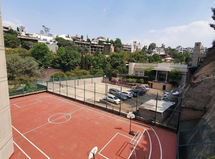 paseo de los ahuehuetes