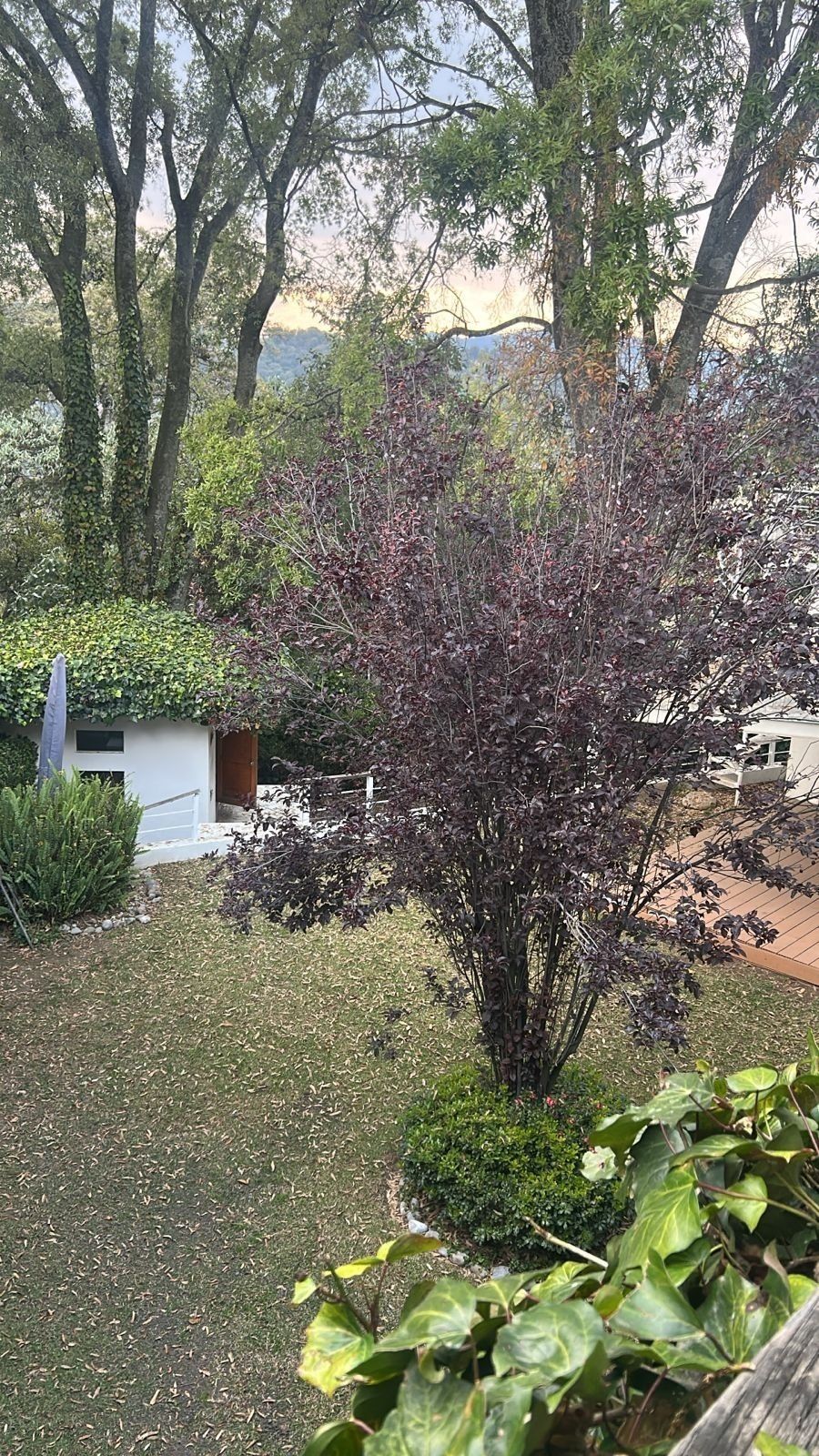 la cañada